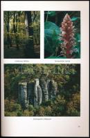 A Tapolcai-medence és tanúhegyei. Szerk.: Futó János. A Balaton-felvidék természeti értékei IV. Vesz...