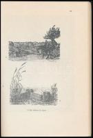 Szilágyi Miklós: Néphagyomány, népi mentalitás, állami igazgatás az orvhalászat tükrében. Életmód és...
