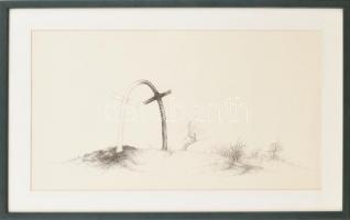 Jelzés nélkül: Szürreális táj. Tus, toll, papír. Üvegezett fa keretben. 26x47 cm