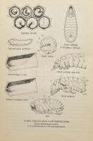 A méhbetegségek megelőzése és gyógyítása. Szerk.: Koltai László. Bp., 1985, Mezőgazdasági. Kiadói ko...