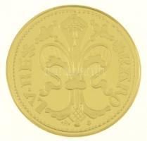 DN "Magyar aranypénzek utánveretben - Károly Róbert aranyforint" aranyozott Ag emlékérem t...