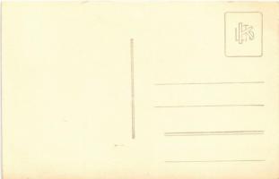 Budapest, Erzsébet híd, villamosok. photo