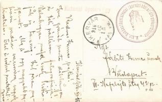 1916 Ikervár, Batthyány kastély, lábadozó katonák. I. Mitrovic photo + "Katonai ápolási ügy&quo...