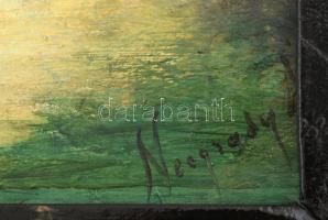 Neogrády jelzéssel (keret által kissé takarva): Tó: Olaj, farost. Fa keretben. 51x88 cm