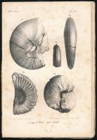 Böckh János: A Bakony déli részének földtani viszonyai. 1. rész. Pest. Khór és Wein,1872.166 oldal,5...