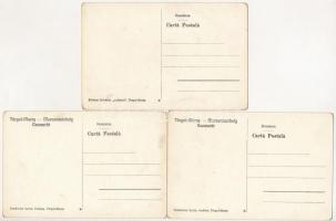 Marosvásárhely, Targu Mures; 3 db régi képeslap / 3 pre-1945 postcards