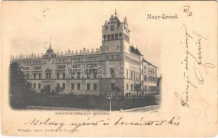 1901 Nagyenyed, Aiud; Alsófehérvármegye székháza. Winkler János kiadása / county hall (Rb)