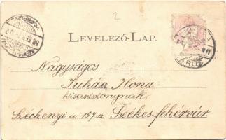 1898 (Vorläufer) Nagyenyed, Aiud; városház, leány iskola, Bethlen kollégium / town hall, schools. fl...