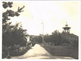 Kolozsvár, Cluj; botanikus kert / botanical garden. photo (11,7 x 8,5 cm)