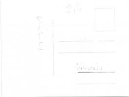 Kolozsvár, Cluj; botanikus kert / botanical garden. photo (11,7 x 8,5 cm)