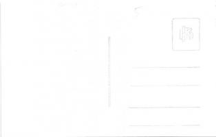 Budapest II. Debrői utca 5. villa (ma Hermann Ottó utca). photo