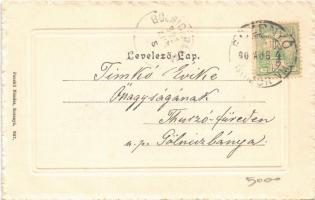 1902 Rozsnyó, Roznava; gyógyfürdő, szálló. Pauchli Nándor 697. / spa hotel