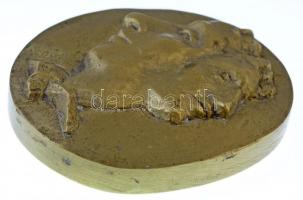 DN "Arcok" egyoldalas Br plakett. Szign.: VM (517g/114x99mm) T:1-