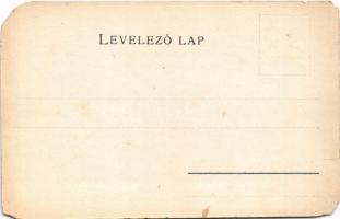 Csanád vármegye térképe. Kiadja Károlyi Gy. / Map of Csanád County (b)