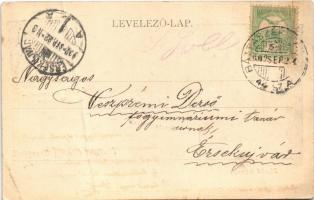 1902 Csurgó, Somogy-Csurgó; Tűzoltó laktanya, Korona szálloda, Református főgimnázium új épülete. Ka...