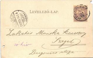 1900 Mezőberény, Piactér, Magyar Király szálloda, üzletek, templom. Piltz Márton kiadása (b)