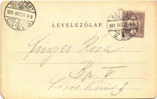 1901 Hódmezővásárhely, Sétány. Grossmann Benedek utóda kiadása (b)