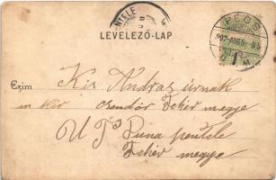 1902 Pécs, Bányatelep, iparvasút, vagonok. Fürst Lipót kiadása (r)