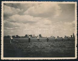 cca 1940 Vitéz Oláh Gyula egerfarmosi gazdasága öntözött rétjének kaszálása, hátoldalon feliratozott fotó, 9×11,5 cm