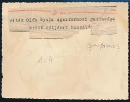 cca 1940 Vitéz Oláh Gyula egerfarmosi gazdasága öntözött rétjének kaszálása, hátoldalon feliratozott...