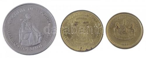 Vegyes: Lesotho 1998. 5l + 1L + Sao Tomé és Principe 1977. 50c + Brunei 1989. 20s Cu-Ni + 2005. 5s C...