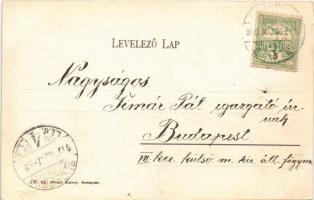 1906 Budapest III. Óbuda, Aquincum. Divald Károly 130. sz