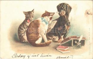 Tacskó és macskák / Dachshund dog and cats. Gebrüder Obpacher Serie 36. No.18198. litho