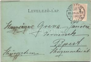 1899 Budapest XIV. Városliget, Történelmi csoport (ázott sarkak / wet corners)