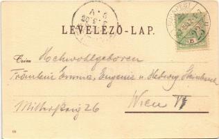 1902 Budapest XIV. Műcsarnok (fa)