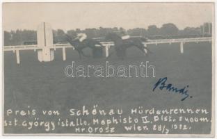Preis von Schönau Hürdenrennen Szt. György istálló, Mephisto II. / Horse race. photo