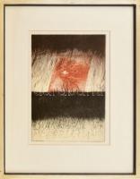 Muzsnay Ákos (1945-): Táj II, 1996, Színes rézkarc, papír. Jelzett. Művészpéldány E.A. II/VII számozással. Üvegezett fa keretben, 34,5×24 cm