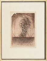 Muzsnay Ákos (1945-): Táj III, 1996, Rézkarc, papír. Jelzett. Művészpéldány E.A. II/VII számozással. Üvegezett fa keretben, 31,5×22 cm