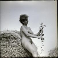 Kalandos és izgalmas életek egy-egy pillanata, több fotómodell közreműködésével, különböző időpontok...