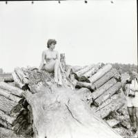 Mi vagyunk az élet; több fotómodell közreműködésével, különböző időpontokban és eltérő helyszíneken ...