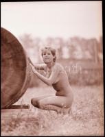 Több fotómodell közreműködésével, különböző időpontokban és eltérő helyszíneken készült, aktfotós ta...