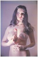 cca 1971 Czakó László (?-?) pécsi fotóművész hagyatékából 9 db vintage DIAPOZITÍV, az aktfotózás műf...