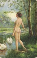 Am Schwanenteich / At the pond of swans. Erotic nude lady art postcard. F.A.K. & Co. B-N. 1009. s: H. Mager (EK)