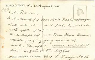 Kistapolcsány, Topolcianky; József kir. herceg kastélya (régi Rákóczi udvar) / castle, courtyard. ph...