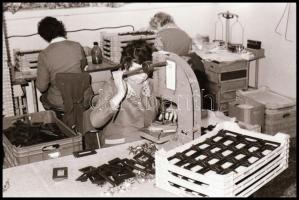 1981 és 1982 Kecskemét, BRG Vállalat, külső és belső fotók, Vincze János (1922-1999) kecskeméti fotó...