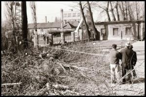 1981 és 1982 Kecskemét, BRG Vállalat, külső és belső fotók, Vincze János (1922-1999) kecskeméti fotó...