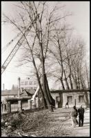 1981 és 1982 Kecskemét, BRG Vállalat, külső és belső fotók, Vincze János (1922-1999) kecskeméti fotó...