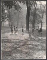 cca 1968 Német Katalin hagyatékából 3 db vintage fotó, az egyik feliratozott, 16,6x19,8 cm és 22,3x1...