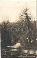 1923 Liptóújvár, Liptó-Újvár, Liptovsky Hrádok; Promenáda / sétány / promenade (apró lyuk / tiny pinhole)