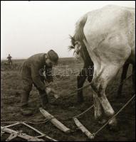 cca 1968 Kotnyek Antal (1921-1990) budapesti fotóriporter hagyatékából 13 db vintage NEGATÍV vegyes ...