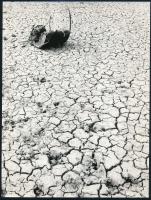 cca 1976 Magyar Alfréd budapesti fotóművész pecséttel jelzett vintage fotóművészeti alkotása (Aszály), 24x18 cm