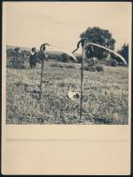 cca 1930 Aratás, a helyszín feliratozva, de nehezen olvasható, vintage fotó, 24x18 cm