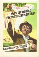 Köss szerződést cukorrépa termelésre! Mezőgazdasági Kiállítás / Hungarian socialist propaganda, sugar beet production advertisement card (EK)