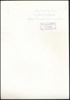 cca 1960 Galbavi Alfonz: Galambdúc, feliratozott vintage fotóművészeti alkotás, 29,3x20,2 cm