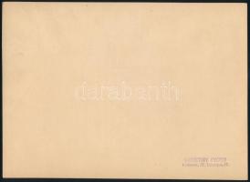 cca 1930 Lillafüred, Monostory György pecsétjével jelzett vintage fotó, 17x23,3 cm