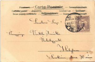 1900 Children art postcard, girls. litho